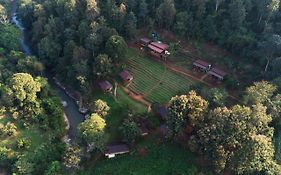 Chiang Mai Elephant Friends